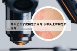 牛头上长了皮癣怎么治疗 小牛头上有癣怎么治疗