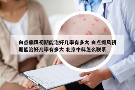 白点癫风初期能治好几率有多大 白点癫风初期能治好几率有多大 北京中科怎么联系