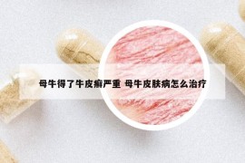 母牛得了牛皮癣严重 母牛皮肤病怎么治疗