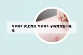 车前草叶片上白斑 车前草叶子有白斑能不能吃