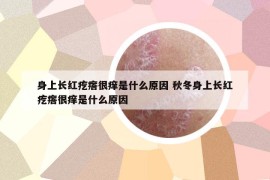 身上长红疙瘩很痒是什么原因 秋冬身上长红疙瘩很痒是什么原因