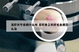 龙虾长牛皮癣什么样 龙虾身上长纤毛虫病怎么治