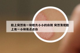 脸上突然有一块地方小小的白斑 突然发现脸上有一小块有点点白