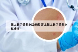 腿上长了很多小红疙瘩 背上腿上长了很多小红疙瘩