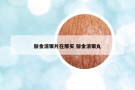 郁金消银片在那买 郁金消银丸
