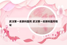 武汉第一皮肤科医院 武汉第一皮肤科医院地址