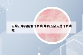 五朵云草药能治什么病 草药五朵云是什么功效