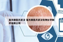 复方胆氨片武汉 复方胆氨片武汉生物化学制药有限公司