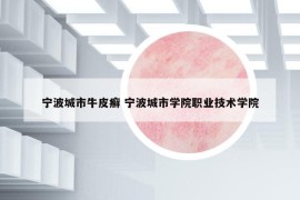宁波城市牛皮癣 宁波城市学院职业技术学院