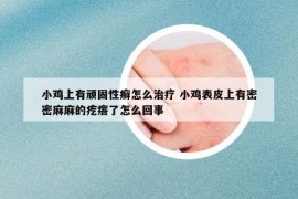 小鸡上有顽固性癣怎么治疗 小鸡表皮上有密密麻麻的疙瘩了怎么回事