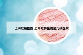 上海虹桥医院 上海虹桥医院是几级医院