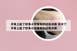 手背上起了好多小疙瘩有的还有点痒 天冷了手背上起了好多小疙瘩有的还有点痒