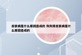 皮肤病是什么原因造成的 狗狗得皮肤病是什么原因造成的