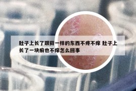 肚子上长了跟藓一样的东西不疼不痒 肚子上长了一块癣也不痒怎么回事