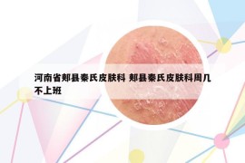河南省郏县秦氏皮肤科 郏县秦氏皮肤科周几不上班