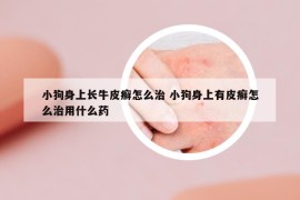 小狗身上长牛皮癣怎么治 小狗身上有皮癣怎么治用什么药