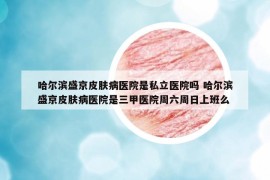 哈尔滨盛京皮肤病医院是私立医院吗 哈尔滨盛京皮肤病医院是三甲医院周六周日上班么