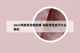 2023司库奇尤新政策 司库奇尤单干什么用的