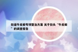 街道牛皮癣专项整治方案 关于街头“牛皮癣”的调查报告