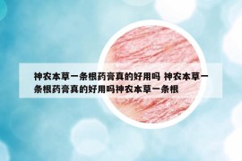神农本草一条根药膏真的好用吗 神农本草一条根药膏真的好用吗神农本草一条根