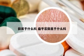 藓属于什么科 扁平苔藓属于什么科