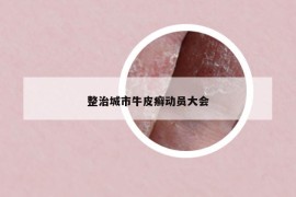 整治城市牛皮癣动员大会