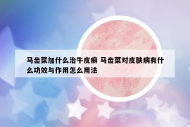 马齿菜加什么治牛皮癣 马齿菜对皮肤病有什么功效与作用怎么用法