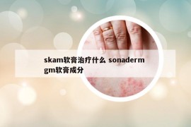 skam软膏治疗什么 sonaderm gm软膏成分
