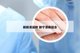 肤藓清凝胶 肤宁清癣组合